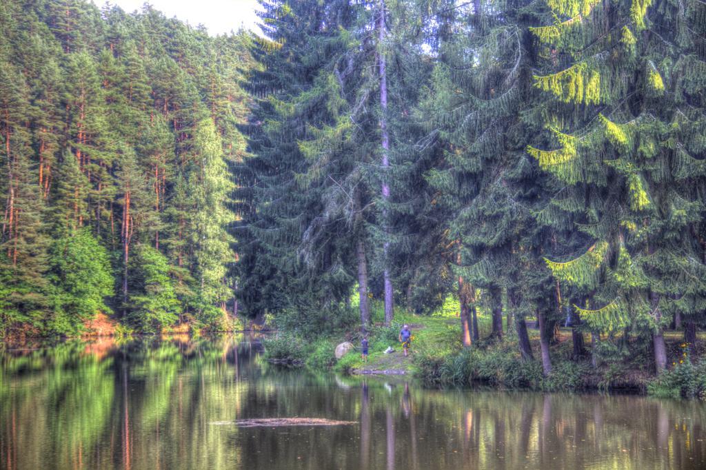Lodge The Hideaway
