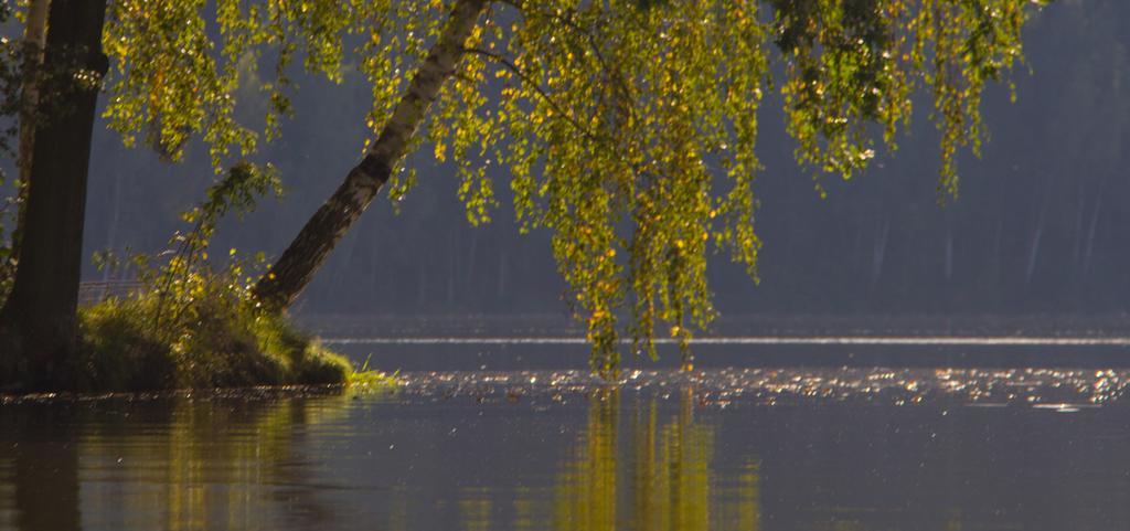 The Hideaway * Želiv