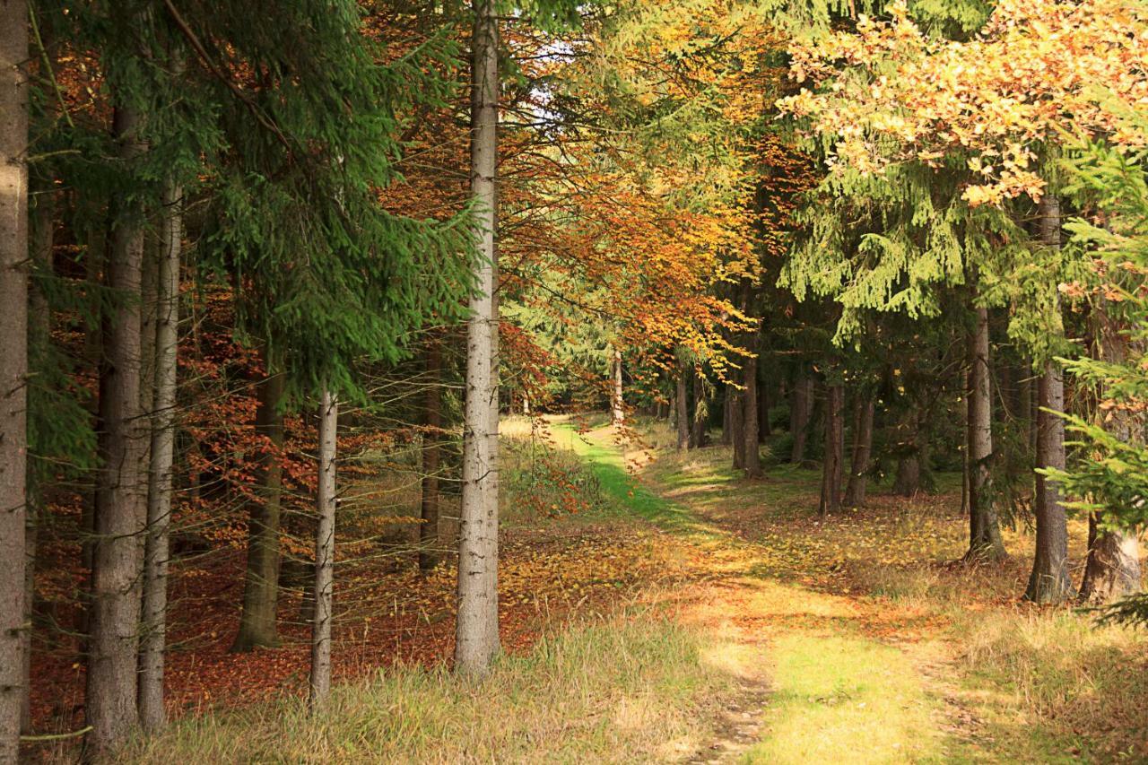 The Hideaway * Želiv